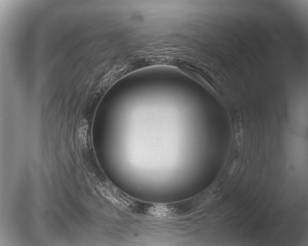 X0000086040231200703301048