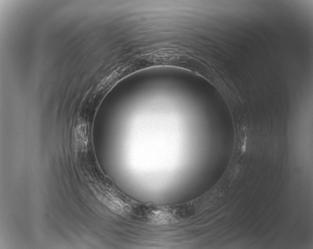 X0000086040232200703301048