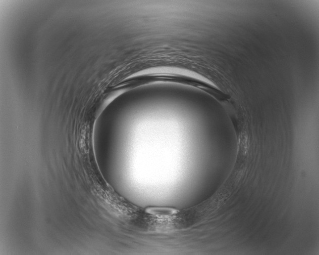 X0000086040233200703301048