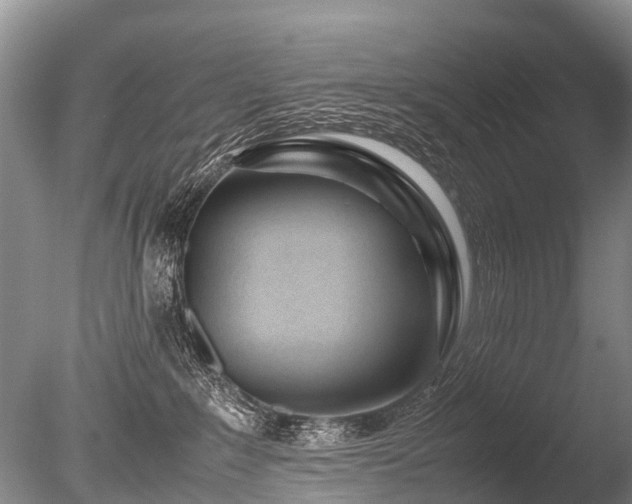 X0000086040235200703301048