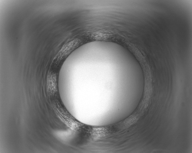 X0000086040240200703301047
