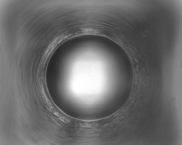 X0000086040241200703301047