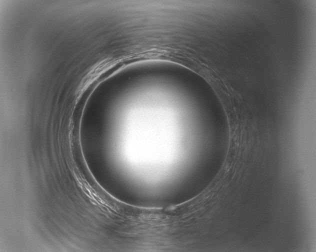 X0000086040242200703301047