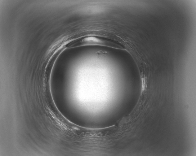 X0000086040243200703301047