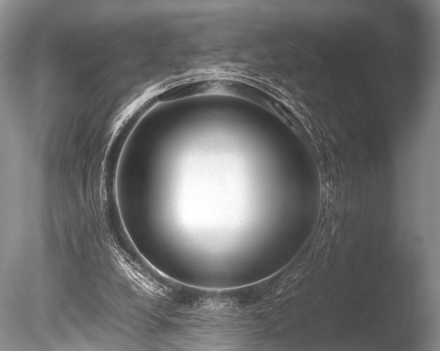 X0000086040248200703301047
