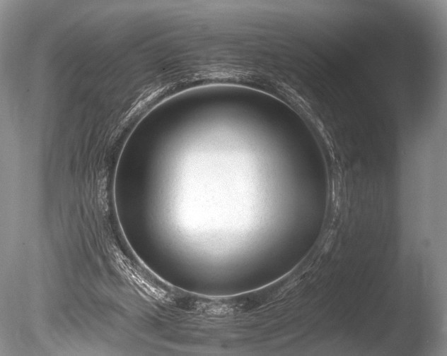 X0000086040249200703301047