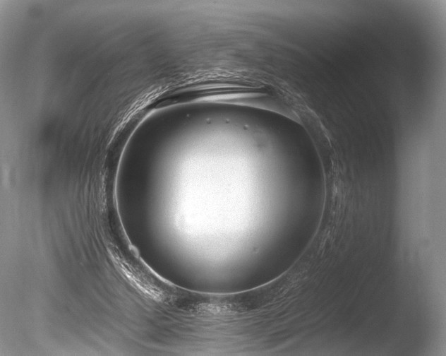 X0000086040250200703301047