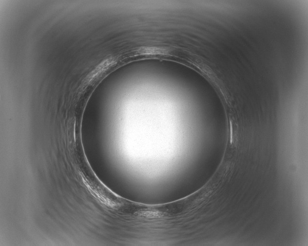 X0000086040253200703301047