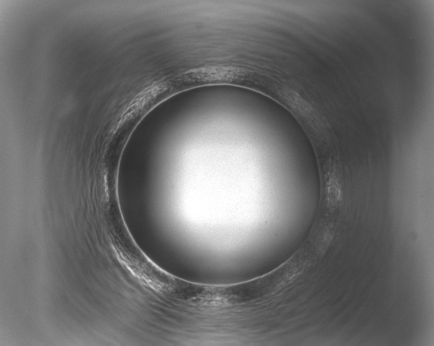 X0000086040254200703301047