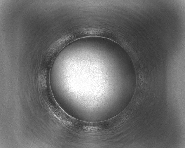 X0000086040255200703301047