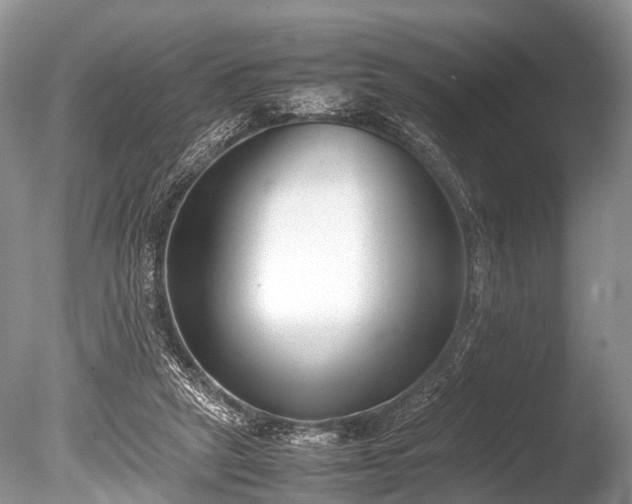 X0000086040257200703301047