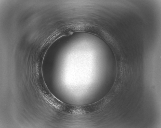 X0000086040258200703301047