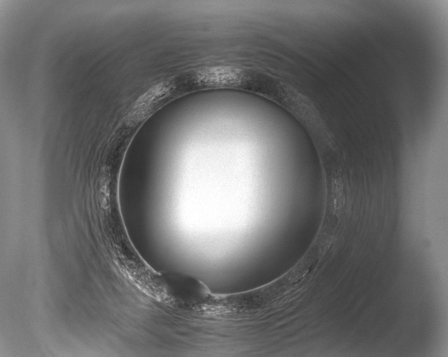 X0000086040259200703301047