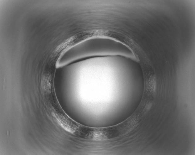 X0000086040264200703301047