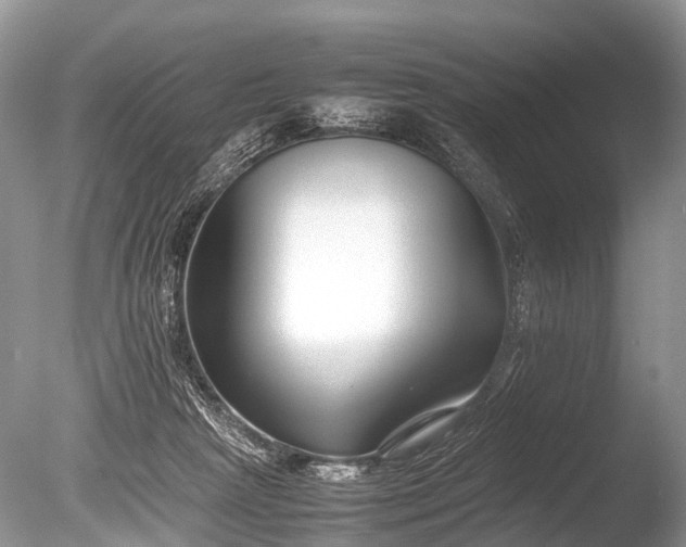 X0000086040265200703301047
