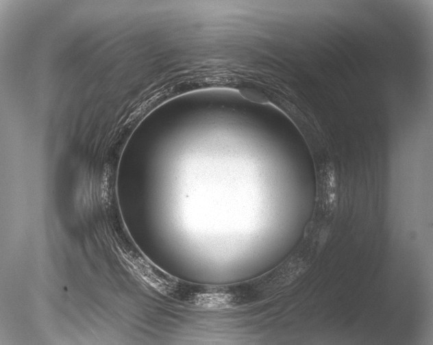 X0000086040266200703301047