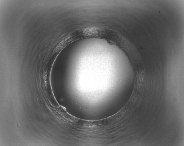 X0000086040267200703301047