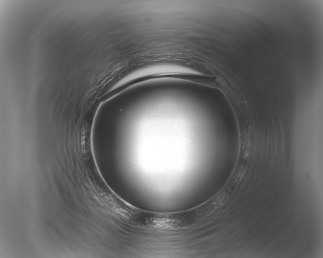 X0000086040268200703301047