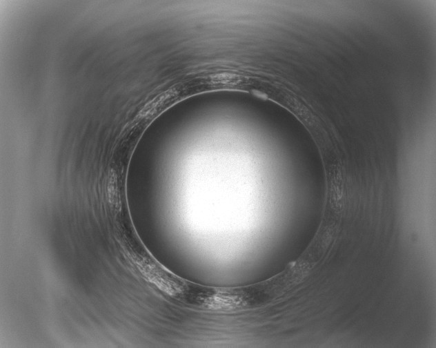 X0000086040270200703301047