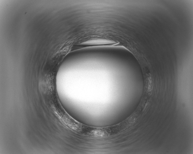 X0000086040272200703301047