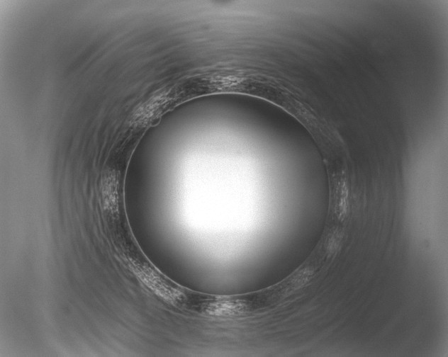 X0000086040274200703301047