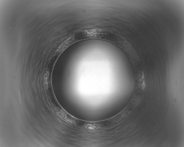 X0000086040275200703301047