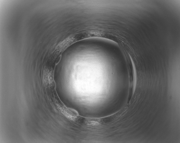 X0000086040285200703301047