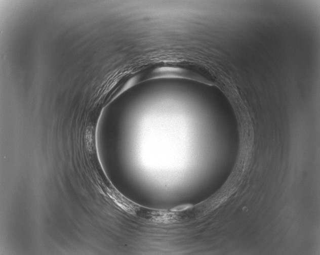X0000086040288200703301047