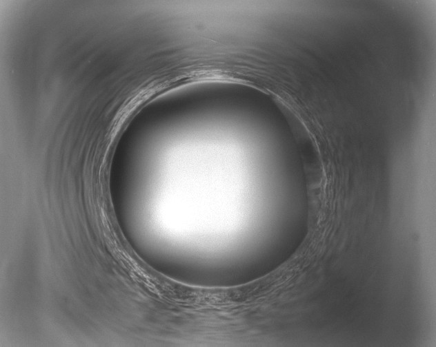 X0000086040289200703301047