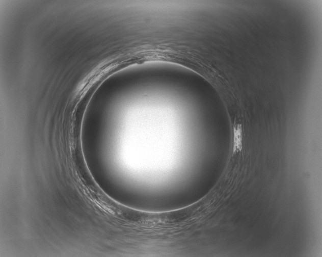 X0000086040291200703301047