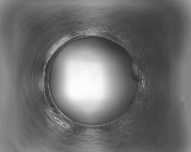 X0000086040292200703301047