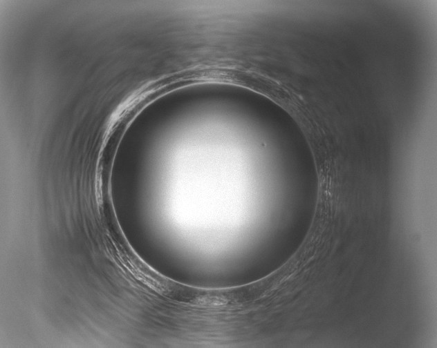 X0000086040294200703301047
