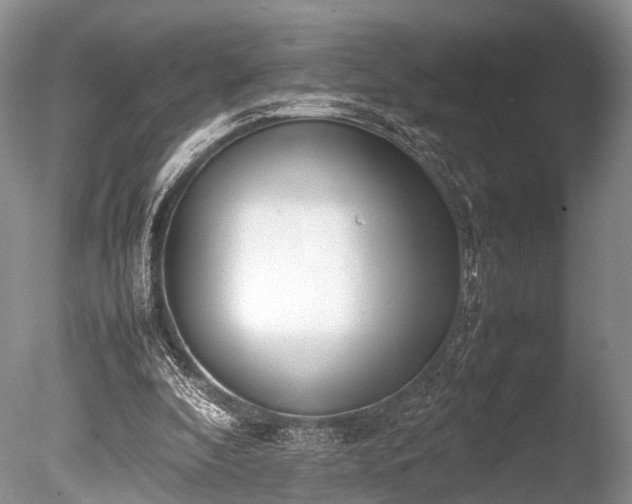 X0000086040296200703301046
