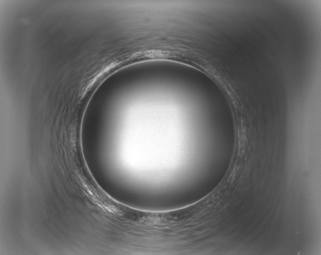 X0000086040297200703301046