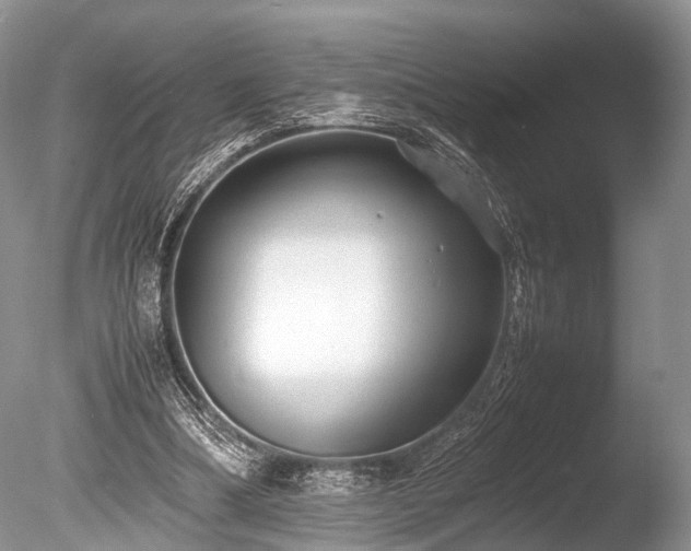 X0000086040298200703301046