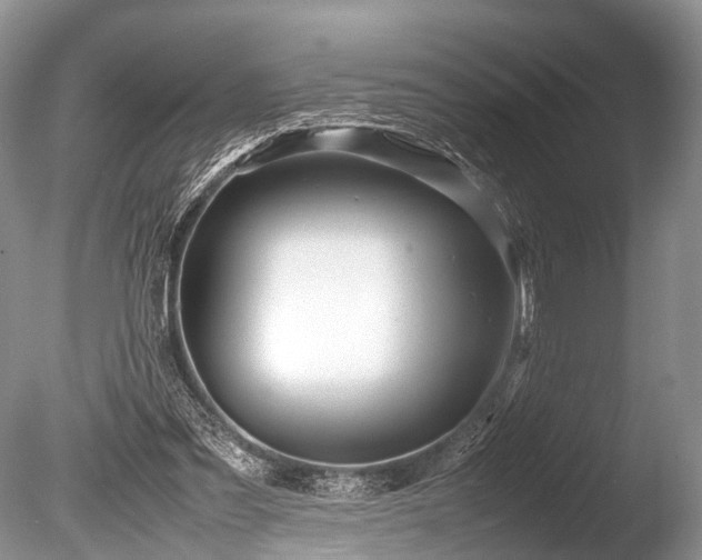 X0000086040301200703301046
