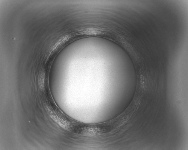 X0000086040304200703301046