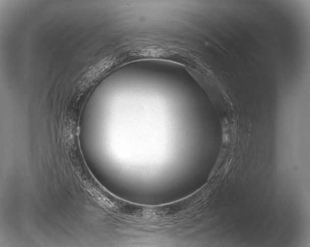 X0000086040305200703301046