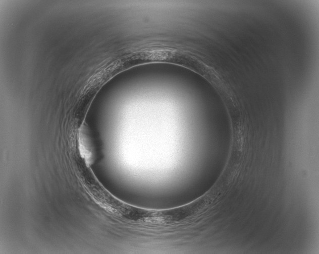 X0000086040307200703301046
