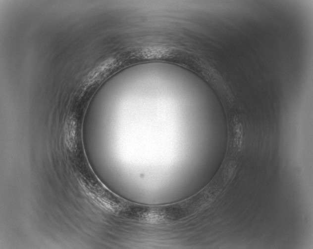 X0000086040308200703301046