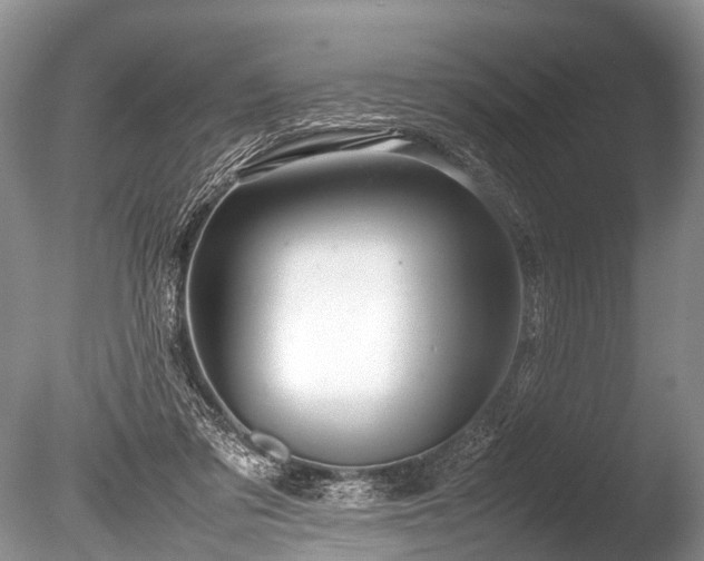 X0000086040309200703301046