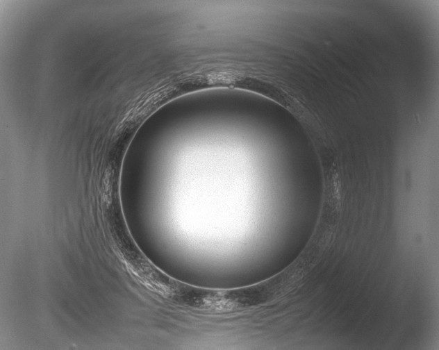 X0000086040311200703301046
