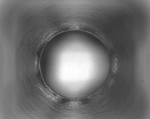 X0000086040314200703301046