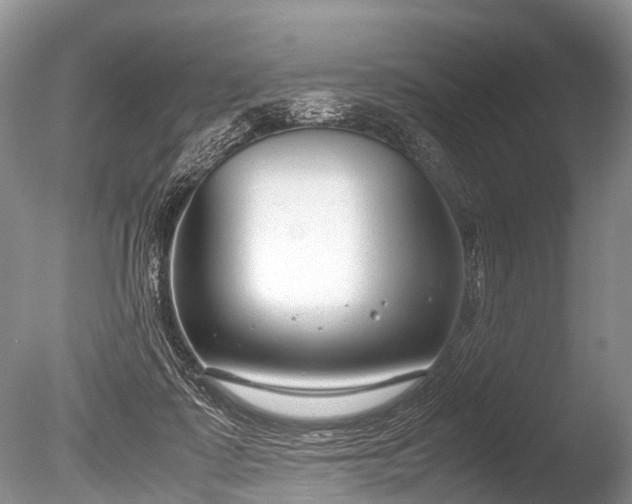 X0000086040315200703301046
