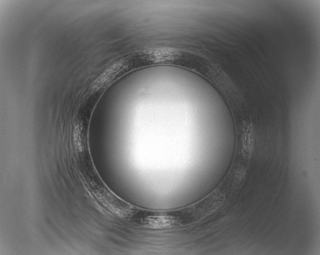 X0000086040316200703301046