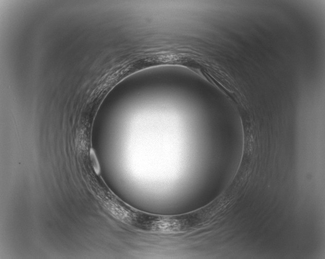 X0000086040317200703301046