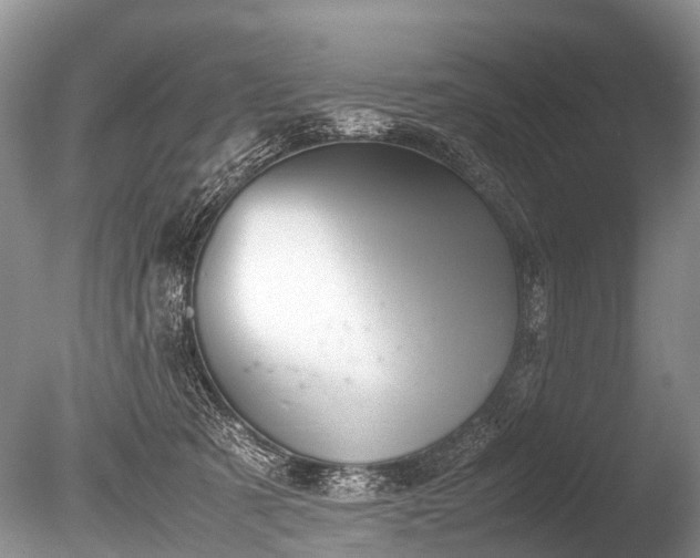 X0000086040321200703301046
