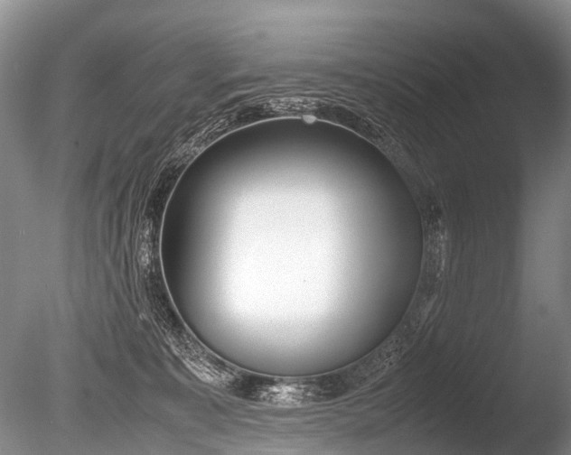 X0000086040323200703301046