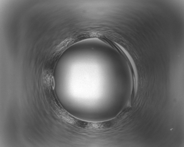 X0000086040329200703301046