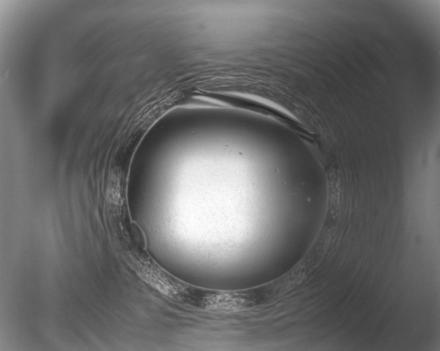 X0000086040331200703301046